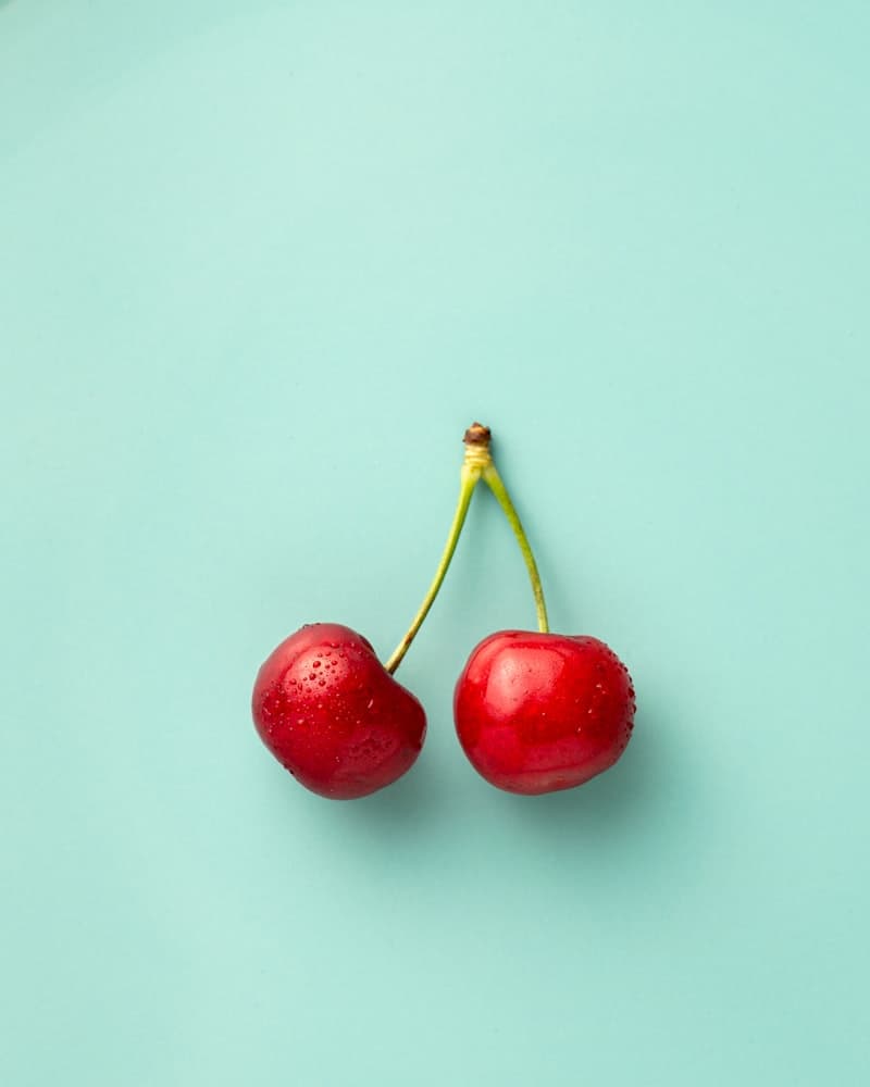 KSM-66 vs Sensoril ashwagandha extract comparison — which works better with magnesium