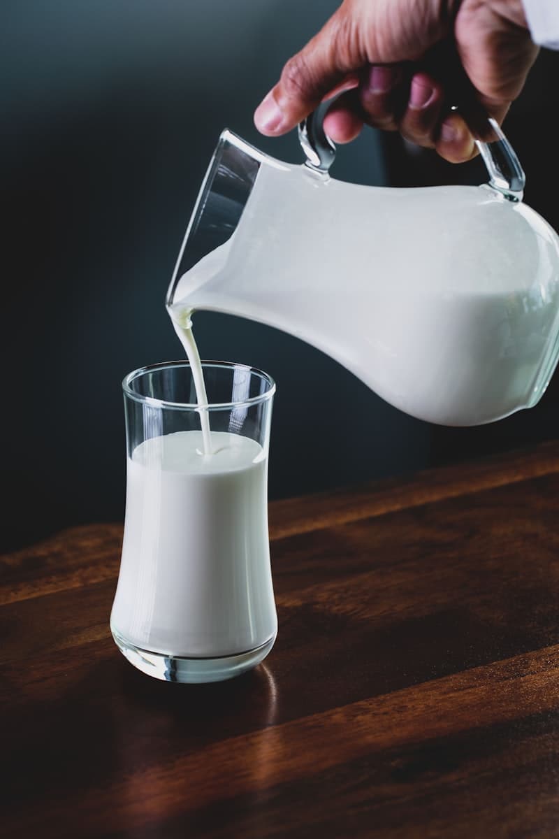 Kefir grains vs yogurt cultures — how each fermentation process creates different probiotic profiles