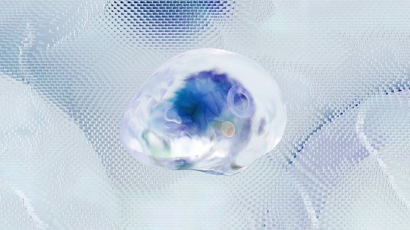 Brain illustration representing cognitive and mental health benefits of DHA omega-3