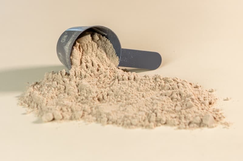 Side-by-side comparison of whey protein and plant protein powders in scoops — visual at-a-glance